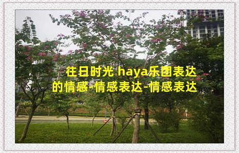 往日时光 haya乐团表达的情感-情感表达-情感表达